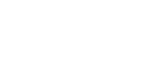 Opera Naples