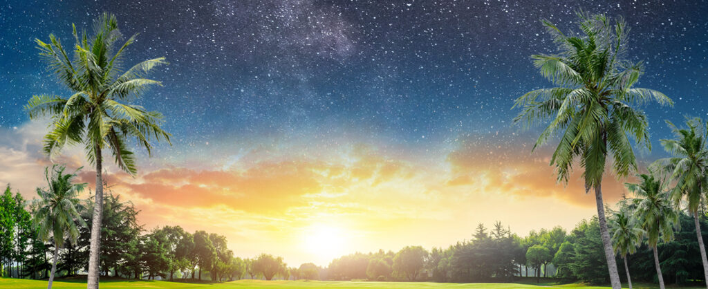 Season-Poster-Background-for-Web