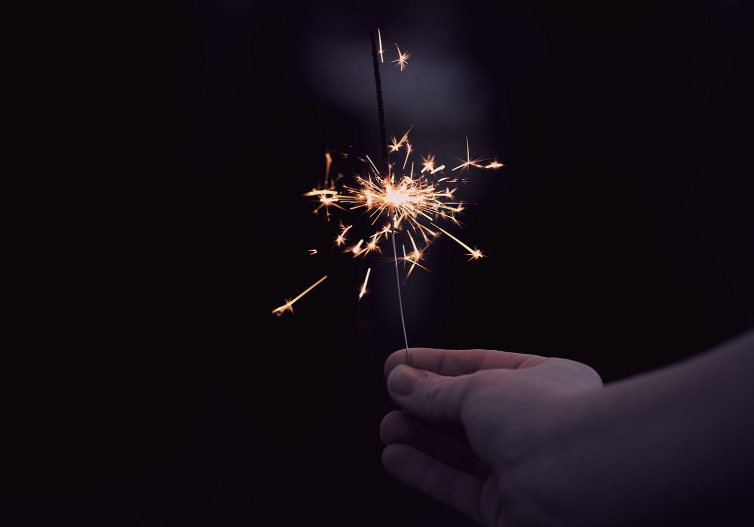 sharon-mccutcheon-srCeIHW5Gtk-unsplash